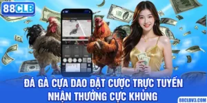 đá gà cựa dao