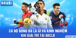 cá độ bóng đá là gì