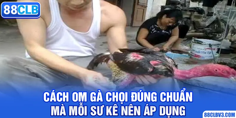 cách om gà chọi