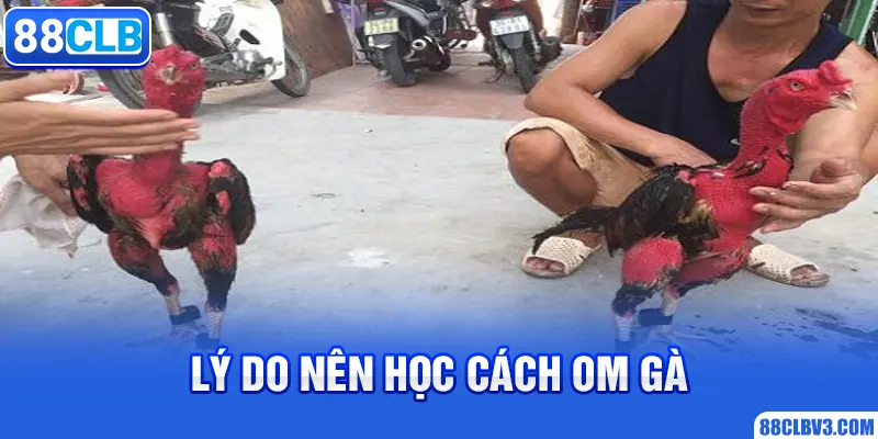 Lý do nên học cách om gà