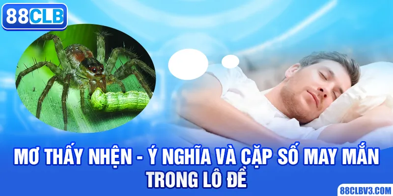 mơ thấy nhện