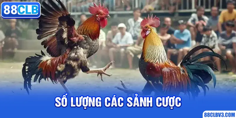 Số lượng các sảnh cược