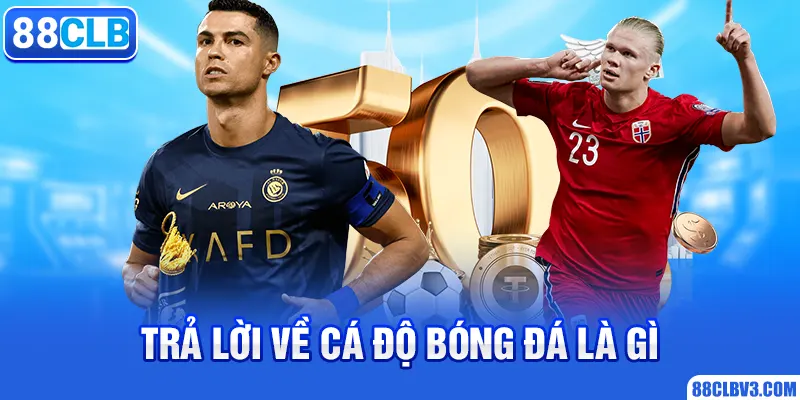 Trả lời về cá độ bóng đá là gì